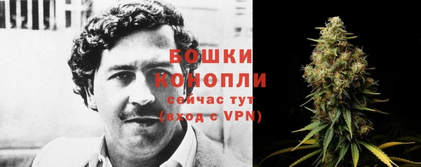 МДПВ Каменка