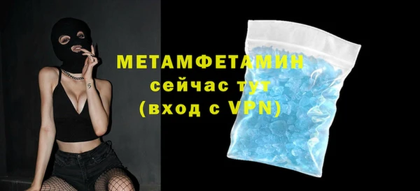 прущие грибы Каменск-Шахтинский