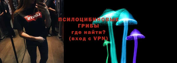 МДПВ Каменка