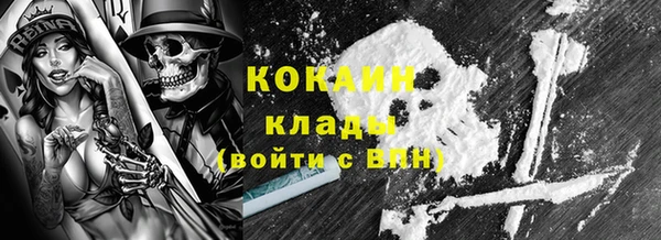 прущие грибы Каменск-Шахтинский