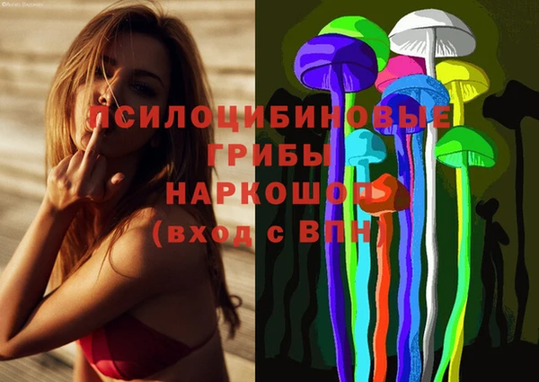 МДПВ Каменка