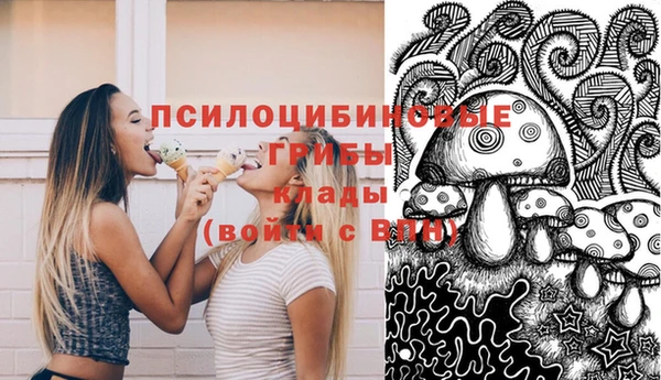 индика Лиски
