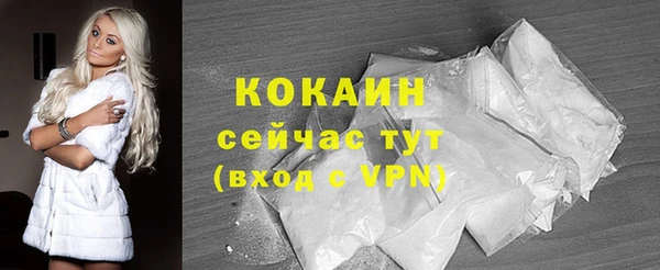 индика Лиски