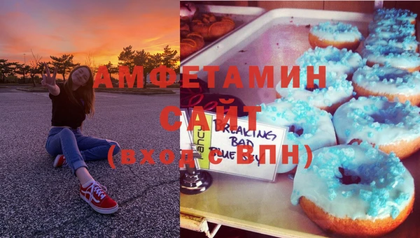 прущие грибы Каменск-Шахтинский