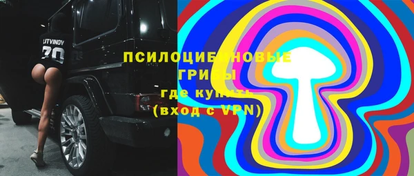 СК Инсар